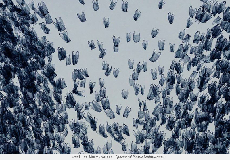 Illustration for article titled Photographer transforms plastic bags into beautiful bird flocks
